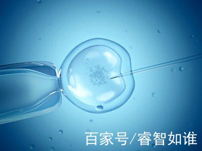 关于{ k1=g1 }